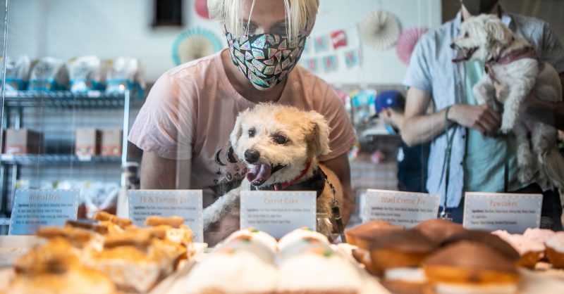 Dog bakery belmont best sale